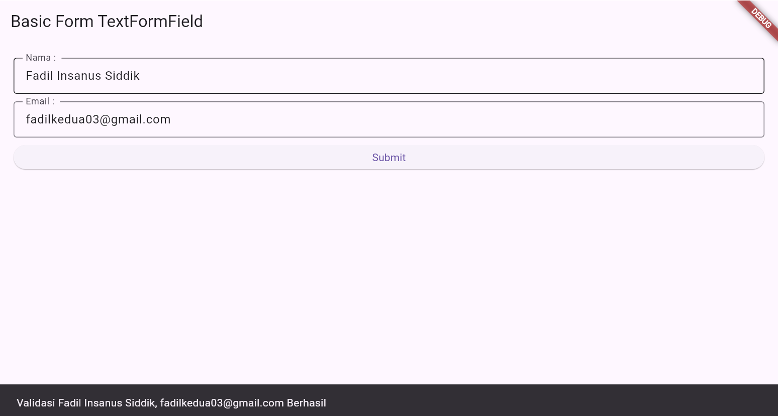 Tampilan aplikasi form validation dengan TextFormField